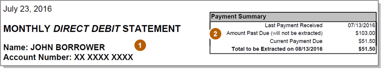 Direct Debit Statement Screenshot
